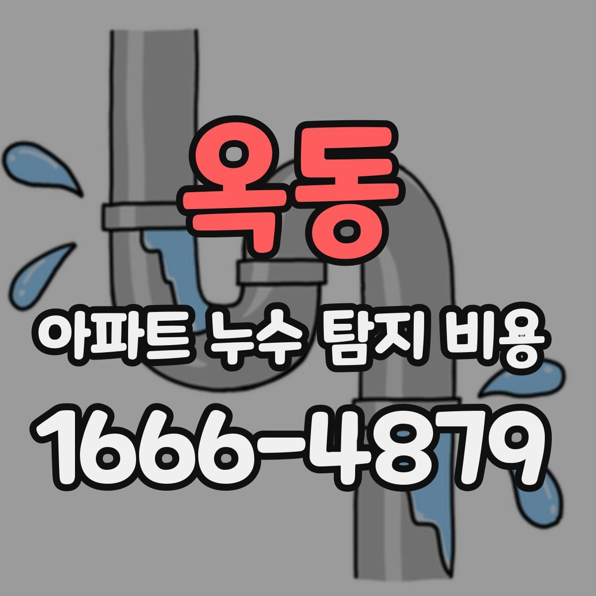 옥동 아파트 누수 탐지 비용
