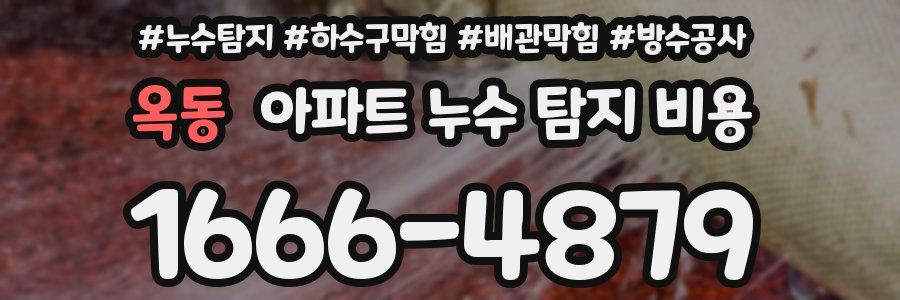 옥동 아파트 누수 탐지 비용