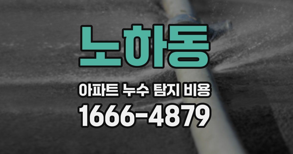 노하동 아파트 누수 탐지 비용
