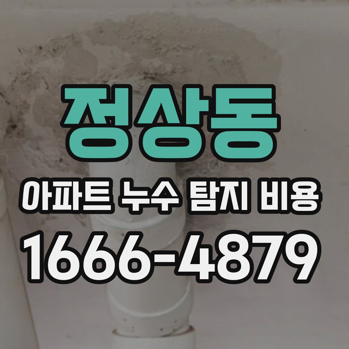 정상동 아파트 누수 탐지 비용
