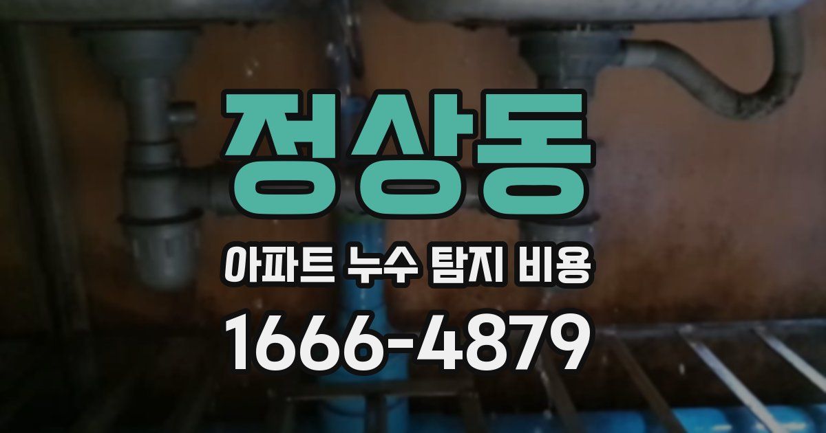 정상동 아파트 누수 탐지 비용