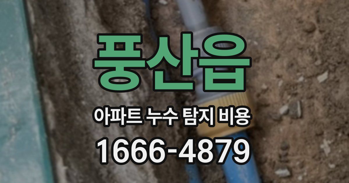 풍산읍 아파트 누수 탐지 비용