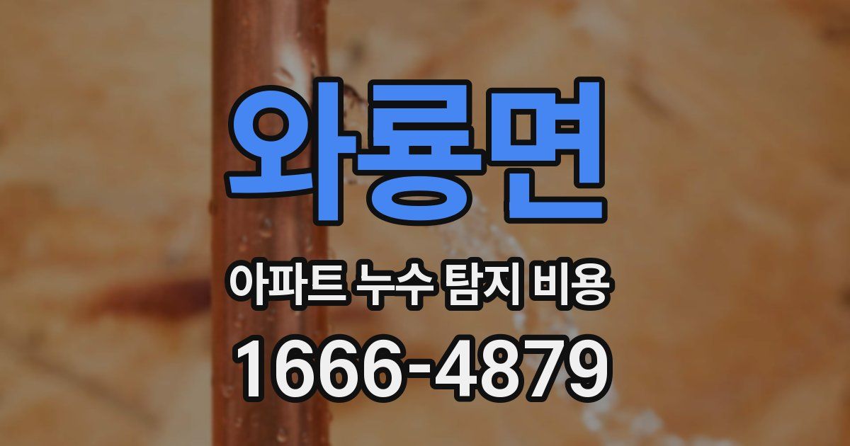 와룡면 아파트 누수 탐지 비용