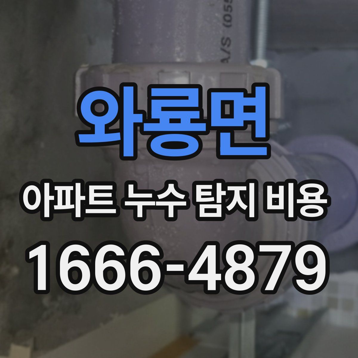 와룡면 아파트 누수 탐지 비용