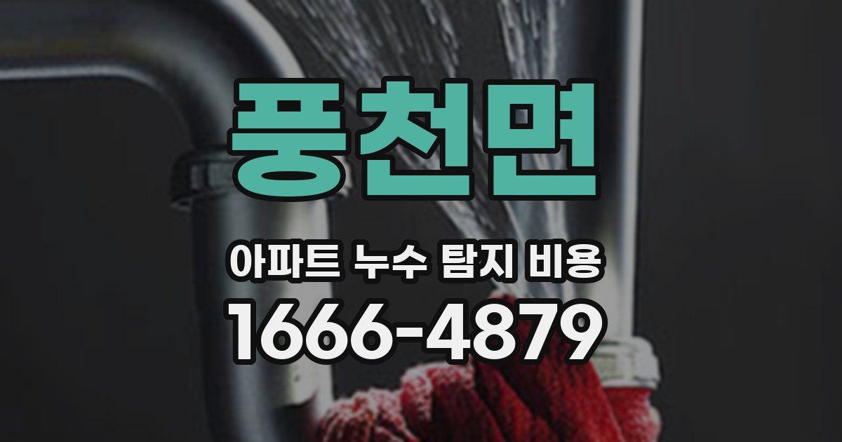 풍천면 아파트 누수 탐지 비용