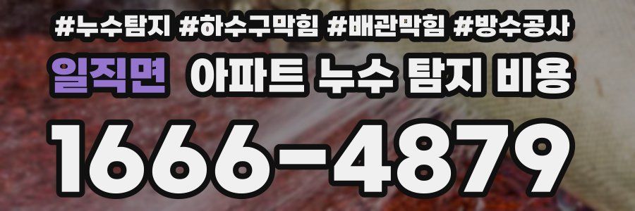 일직면 아파트 누수 탐지 비용