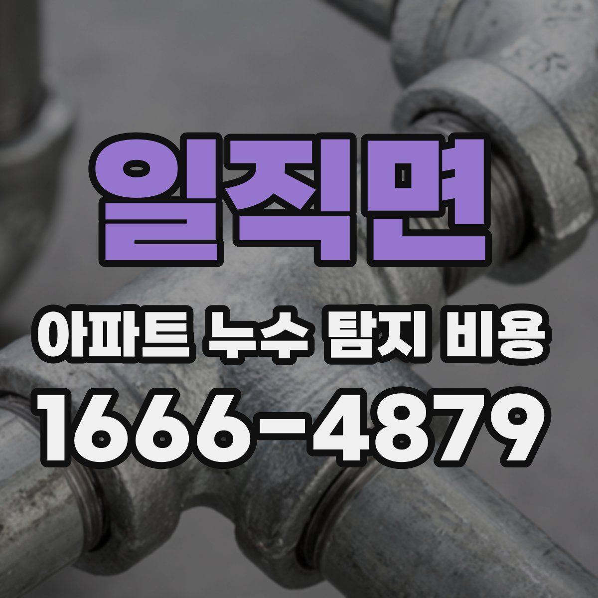 일직면 아파트 누수 탐지 비용