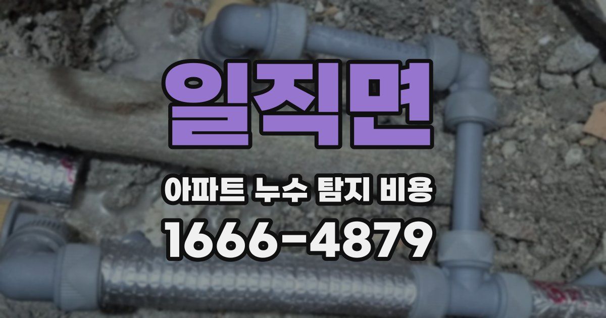 일직면 아파트 누수 탐지 비용