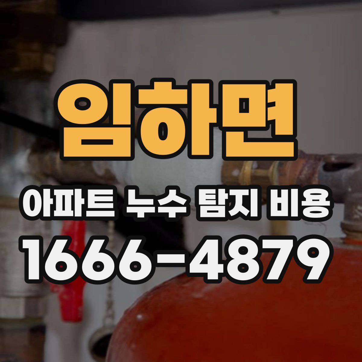 임하면 아파트 누수 탐지 비용