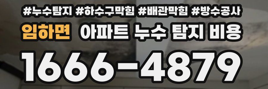 임하면 아파트 누수 탐지 비용