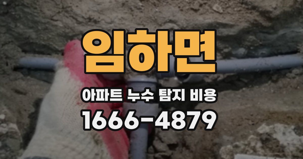 임하면 아파트 누수 탐지 비용