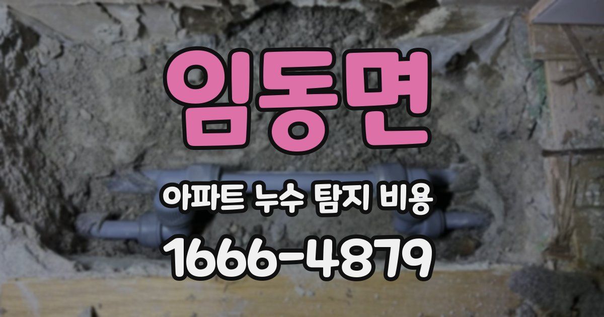 임동면 아파트 누수 탐지 비용