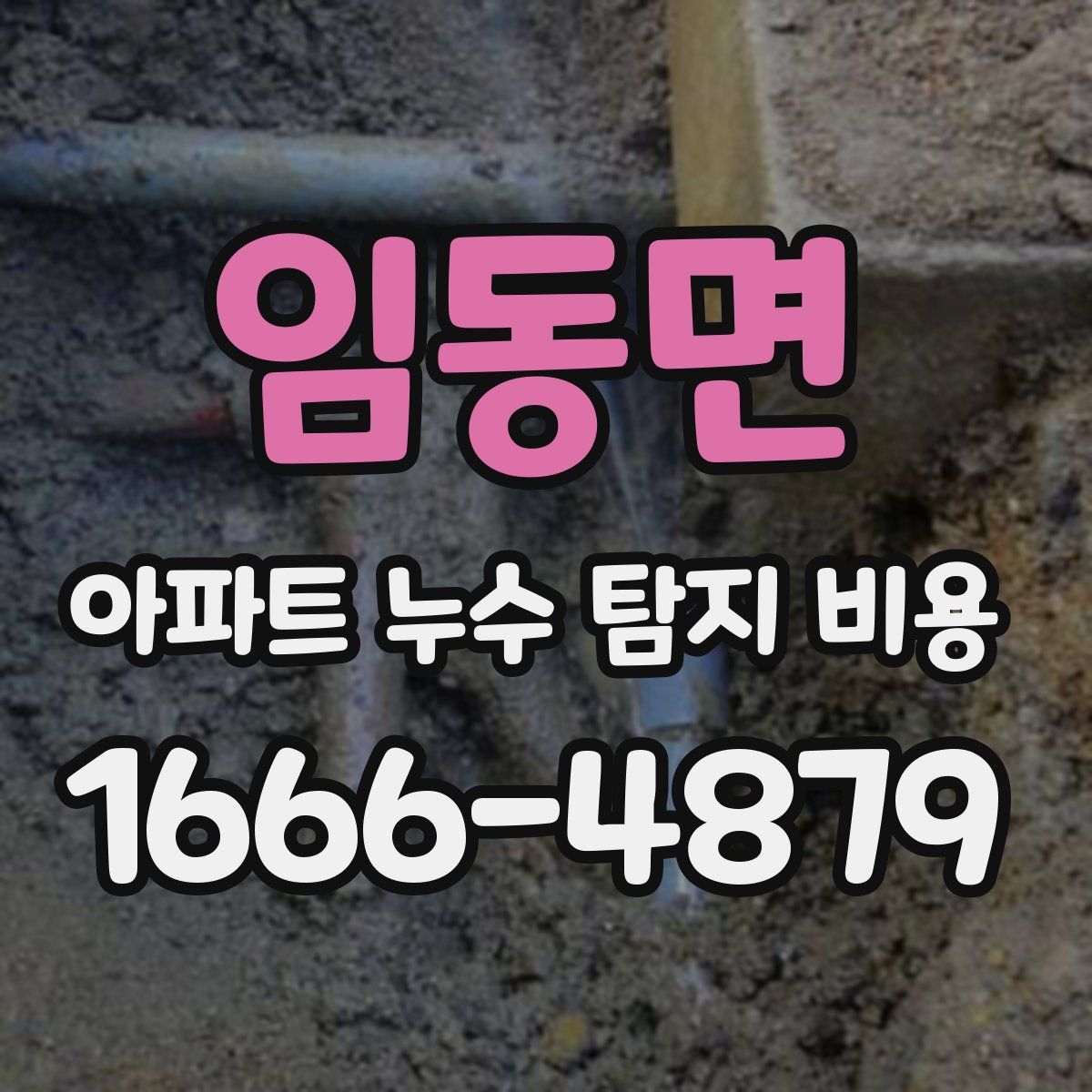 임동면 아파트 누수 탐지 비용