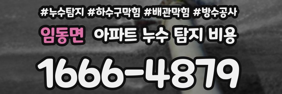 임동면 아파트 누수 탐지 비용
