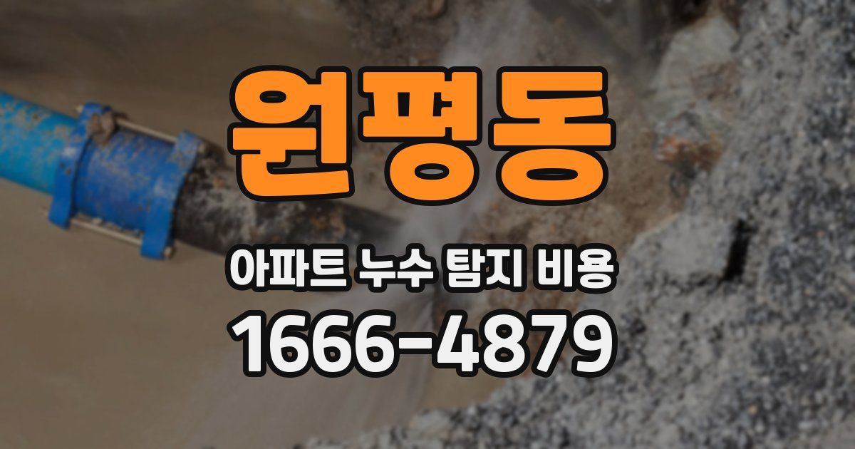 원평동 아파트 누수 탐지 비용