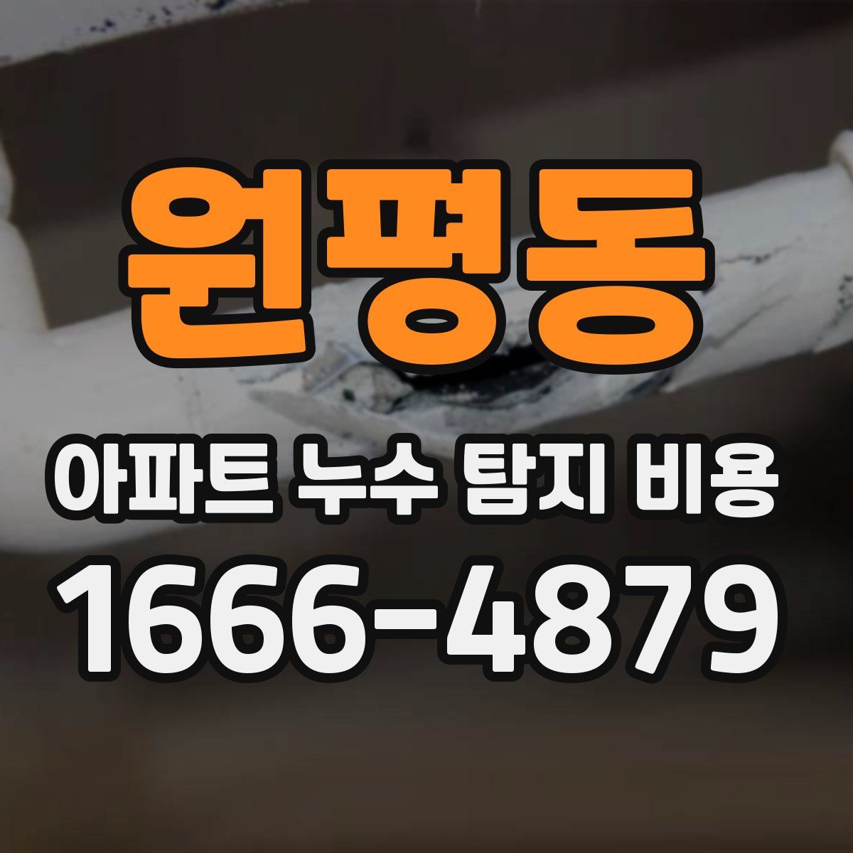 원평동 아파트 누수 탐지 비용