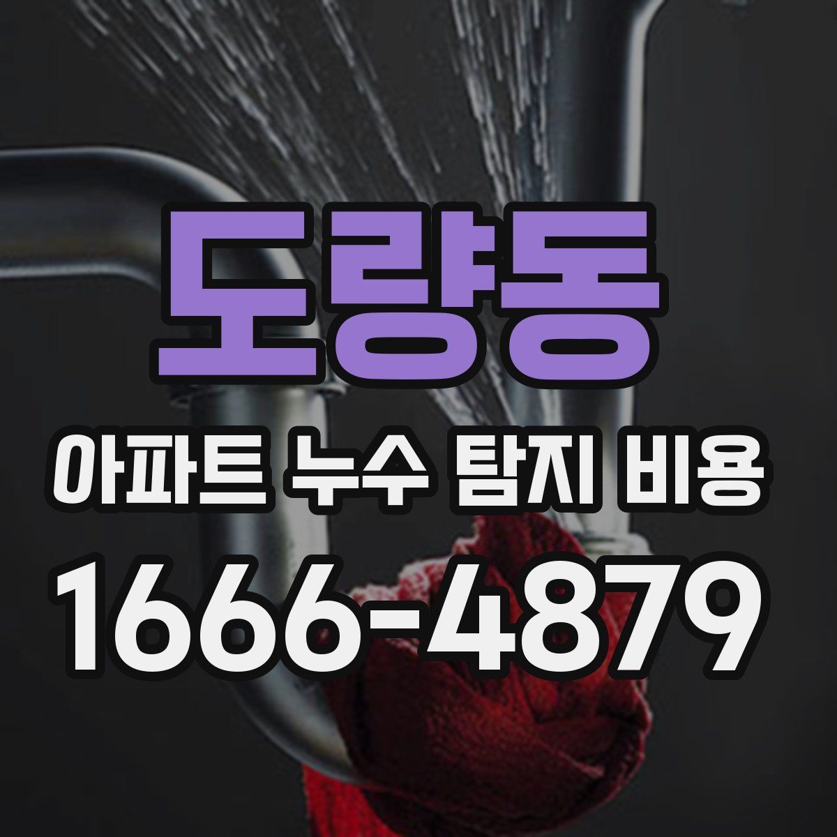 도량동 아파트 누수 탐지 비용