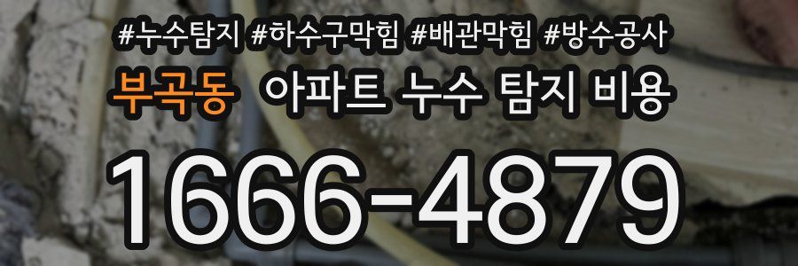 부곡동 아파트 누수 탐지 비용