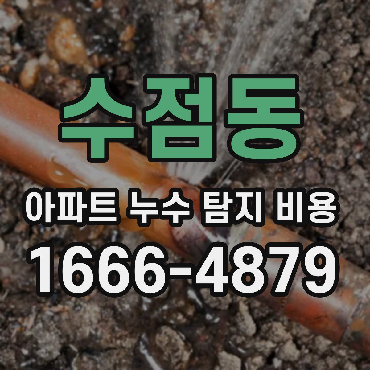 수점동 아파트 누수 탐지 비용