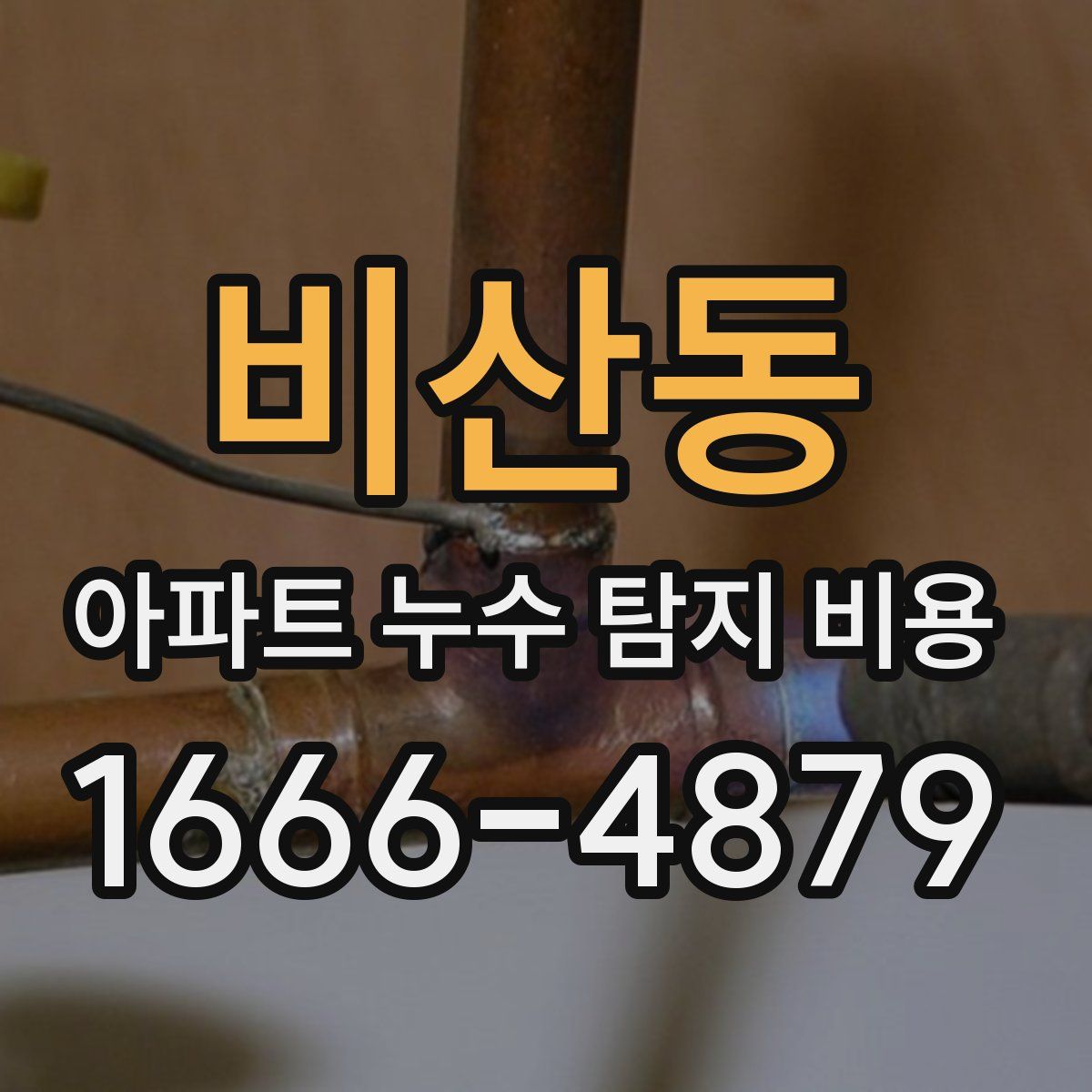 비산동 아파트 누수 탐지 비용