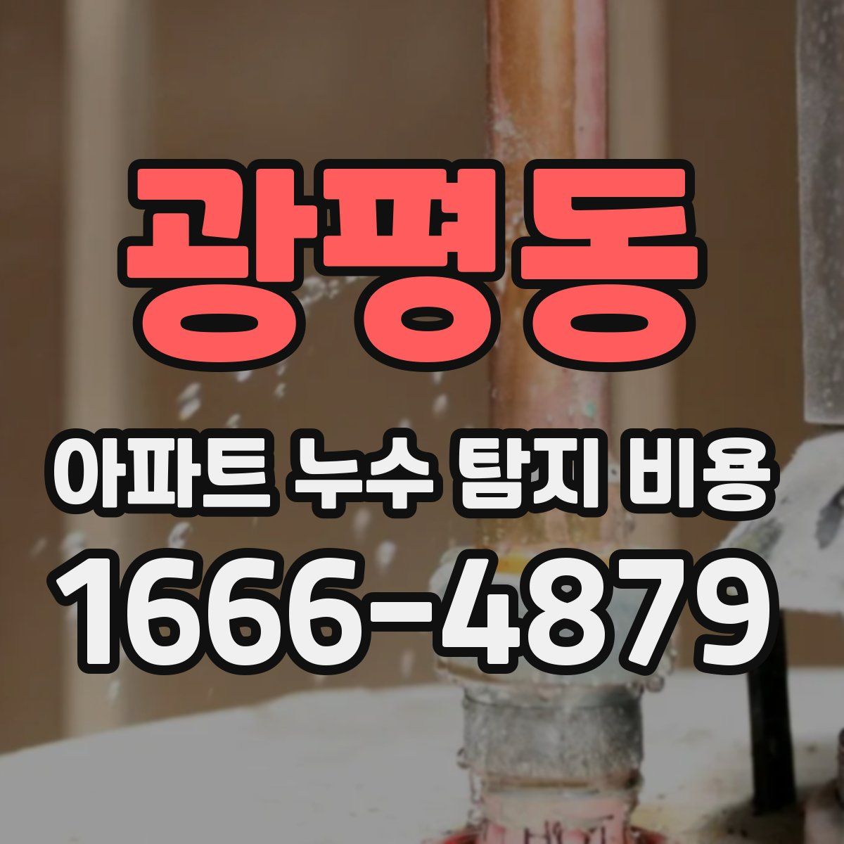 광평동 아파트 누수 탐지 비용