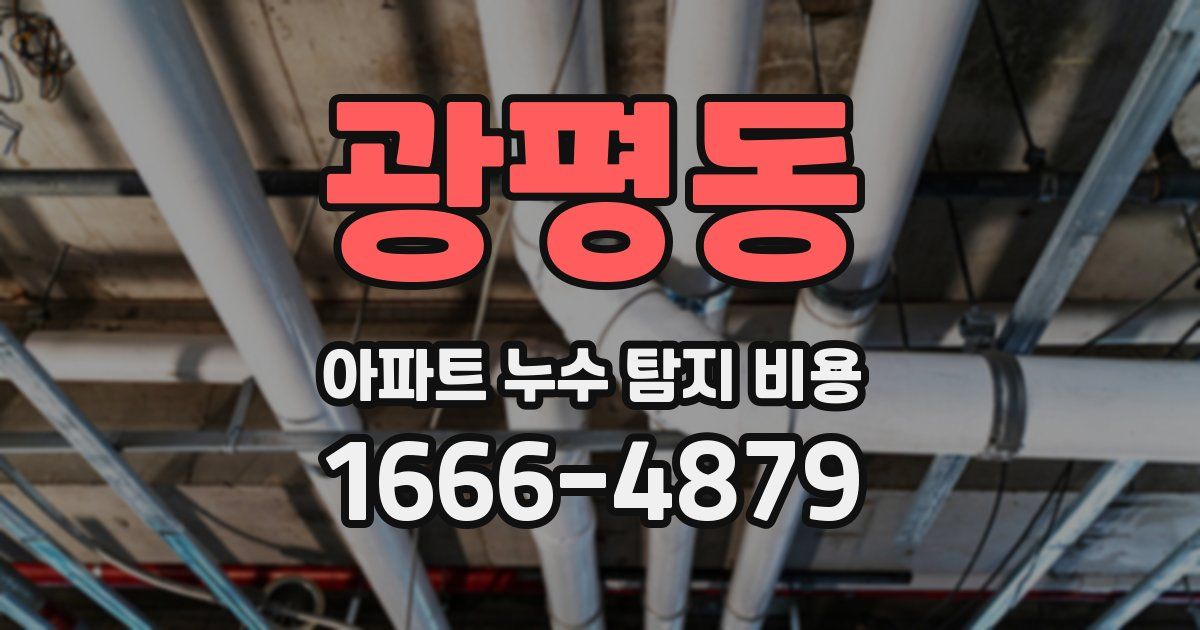 광평동 아파트 누수 탐지 비용