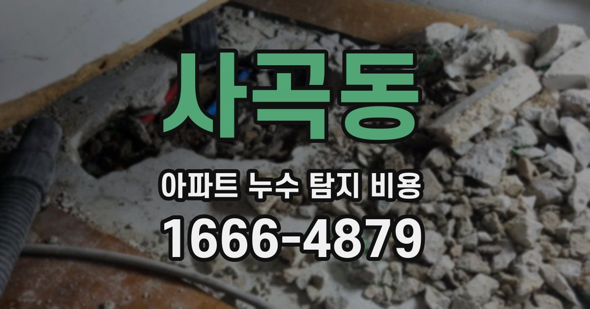 사곡동 아파트 누수 탐지 비용