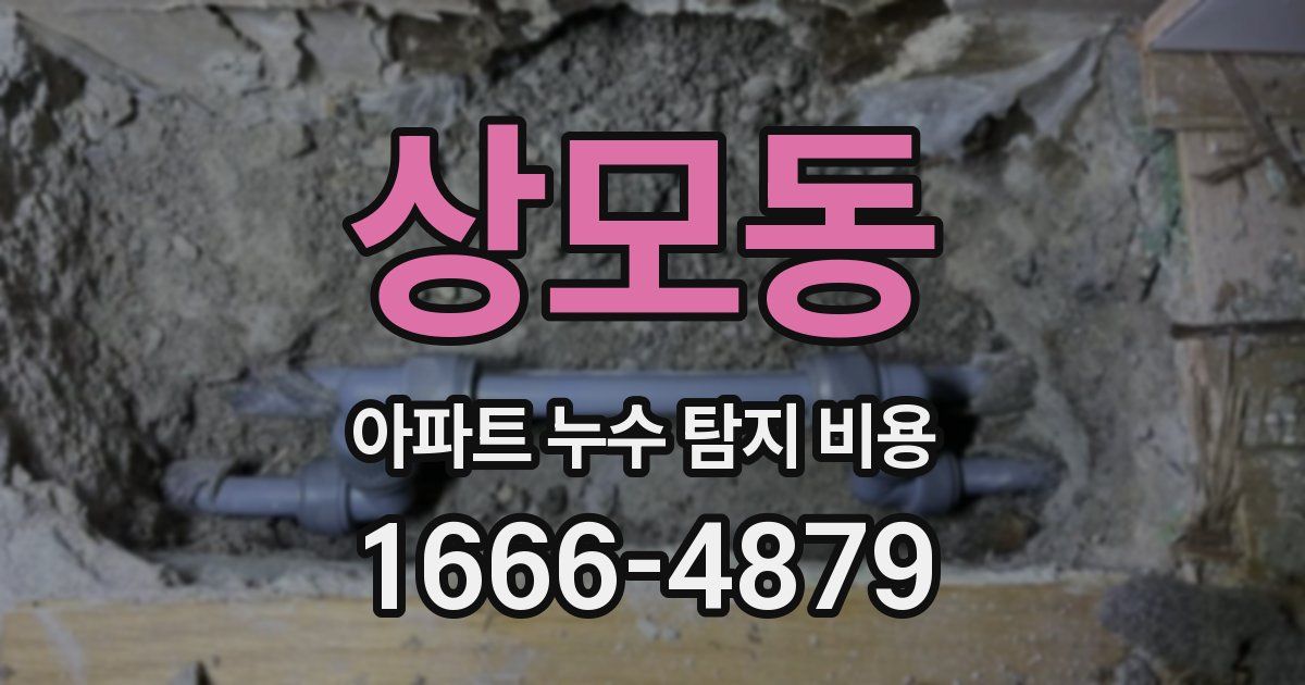 상모동 아파트 누수 탐지 비용