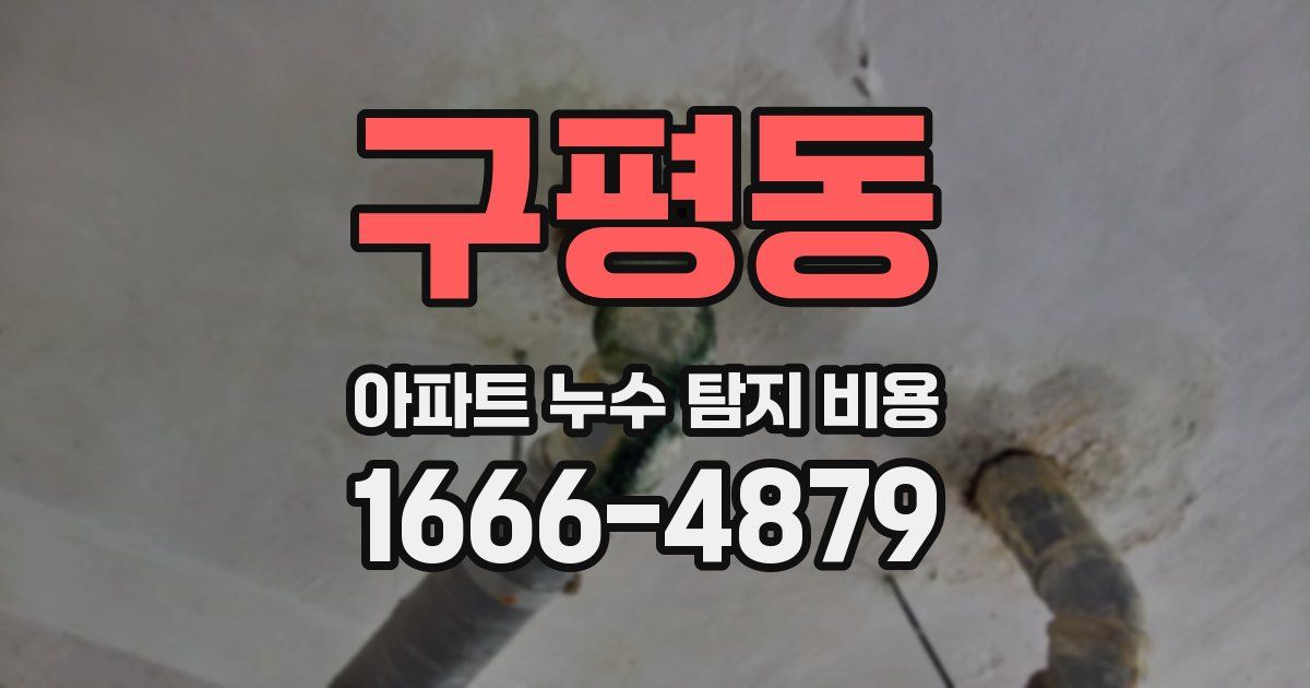 구평동 아파트 누수 탐지 비용
