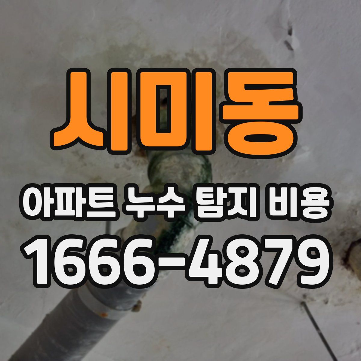 시미동 아파트 누수 탐지 비용