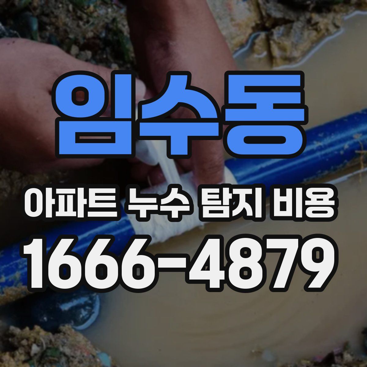 임수동 아파트 누수 탐지 비용