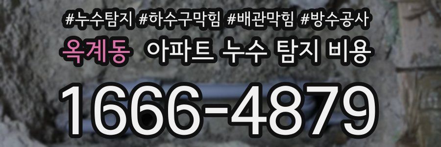 옥계동 아파트 누수 탐지 비용