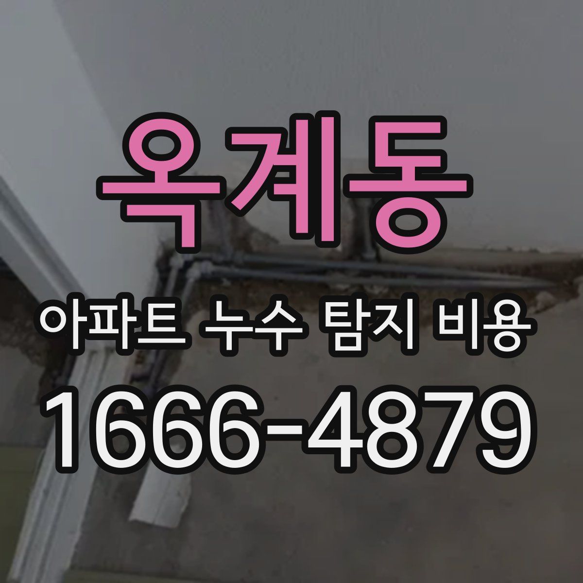 옥계동 아파트 누수 탐지 비용