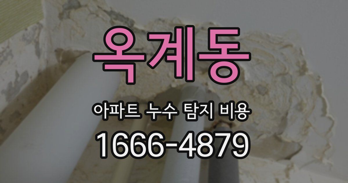 옥계동 아파트 누수 탐지 비용