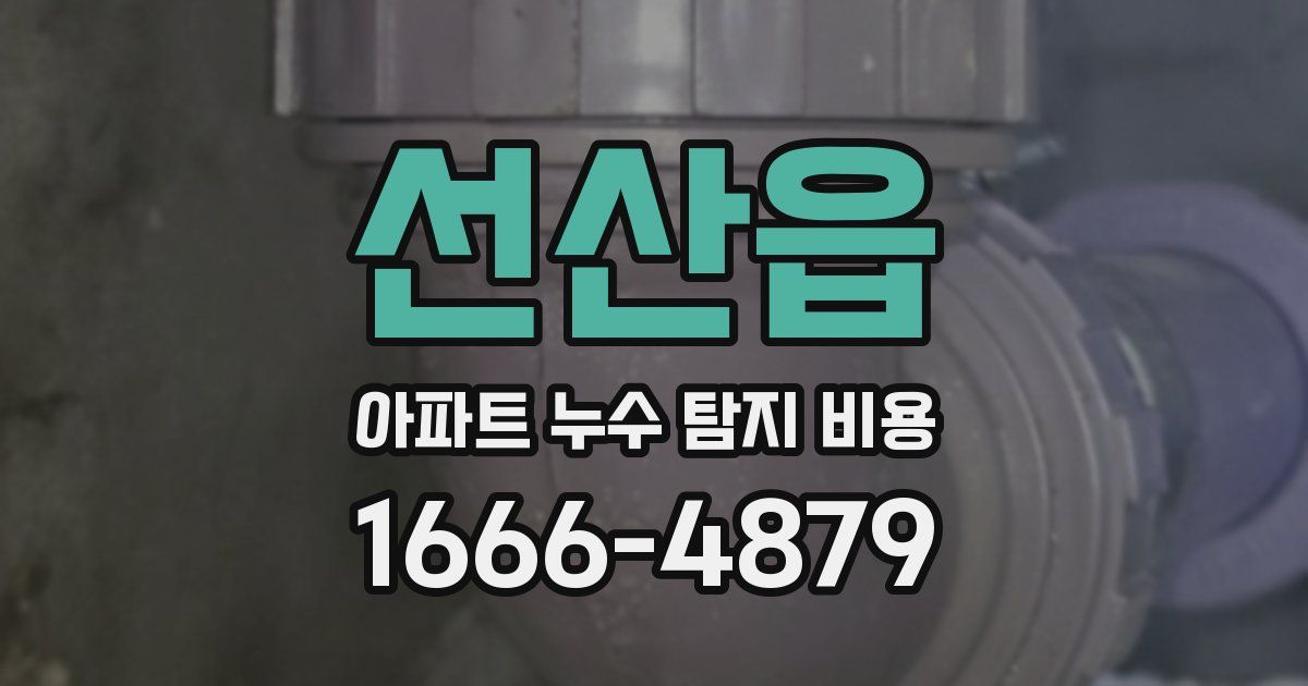 선산읍 아파트 누수 탐지 비용