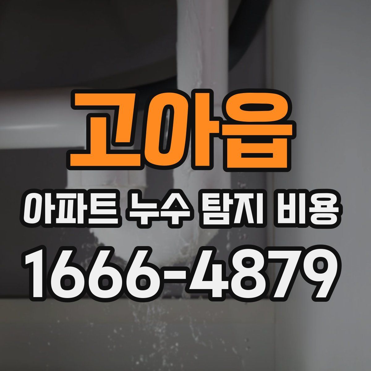 고아읍 아파트 누수 탐지 비용