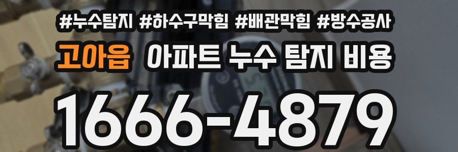 고아읍 아파트 누수 탐지 비용
