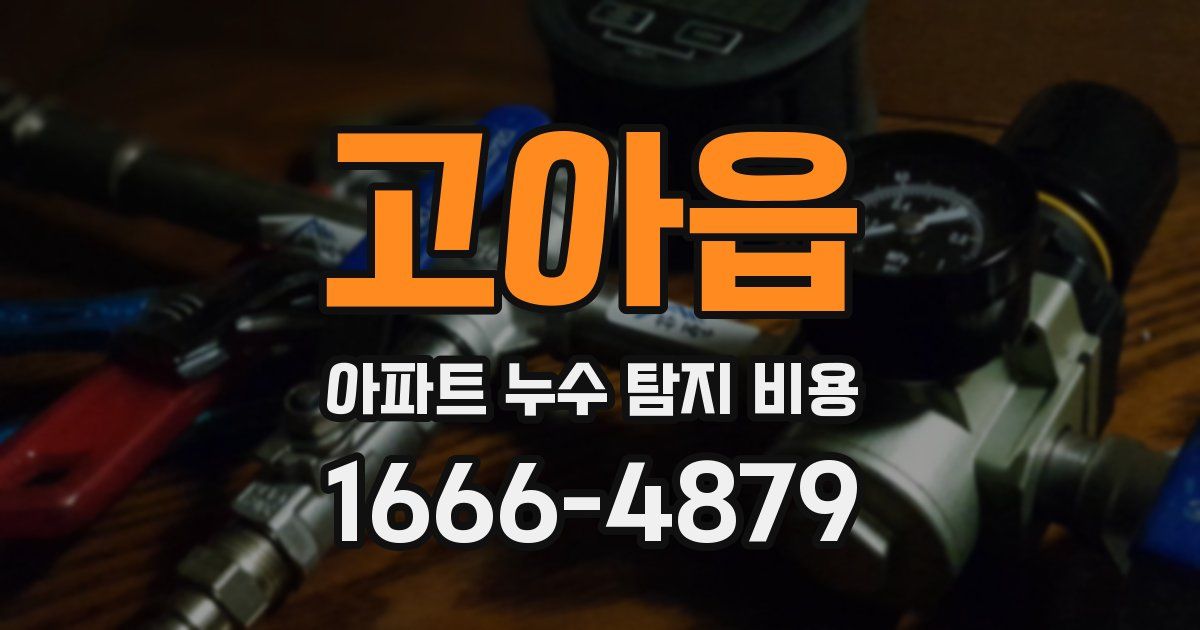 고아읍 아파트 누수 탐지 비용