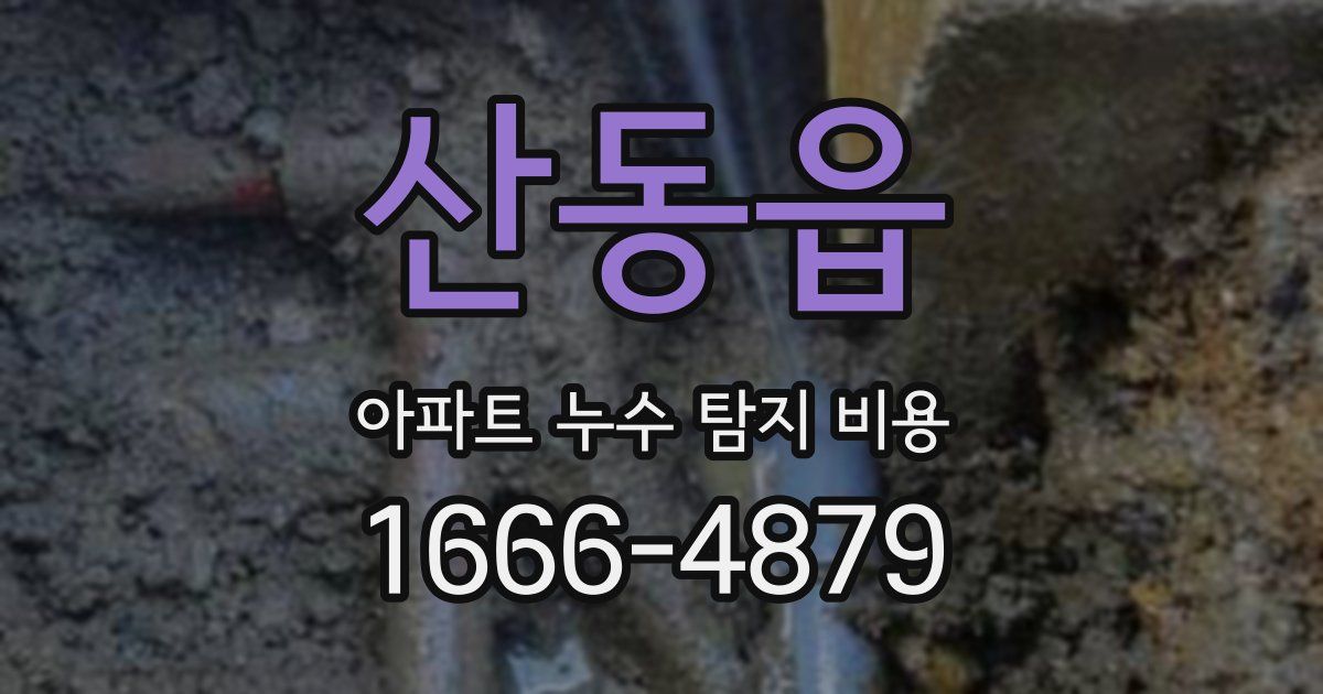 산동읍 아파트 누수 탐지 비용
