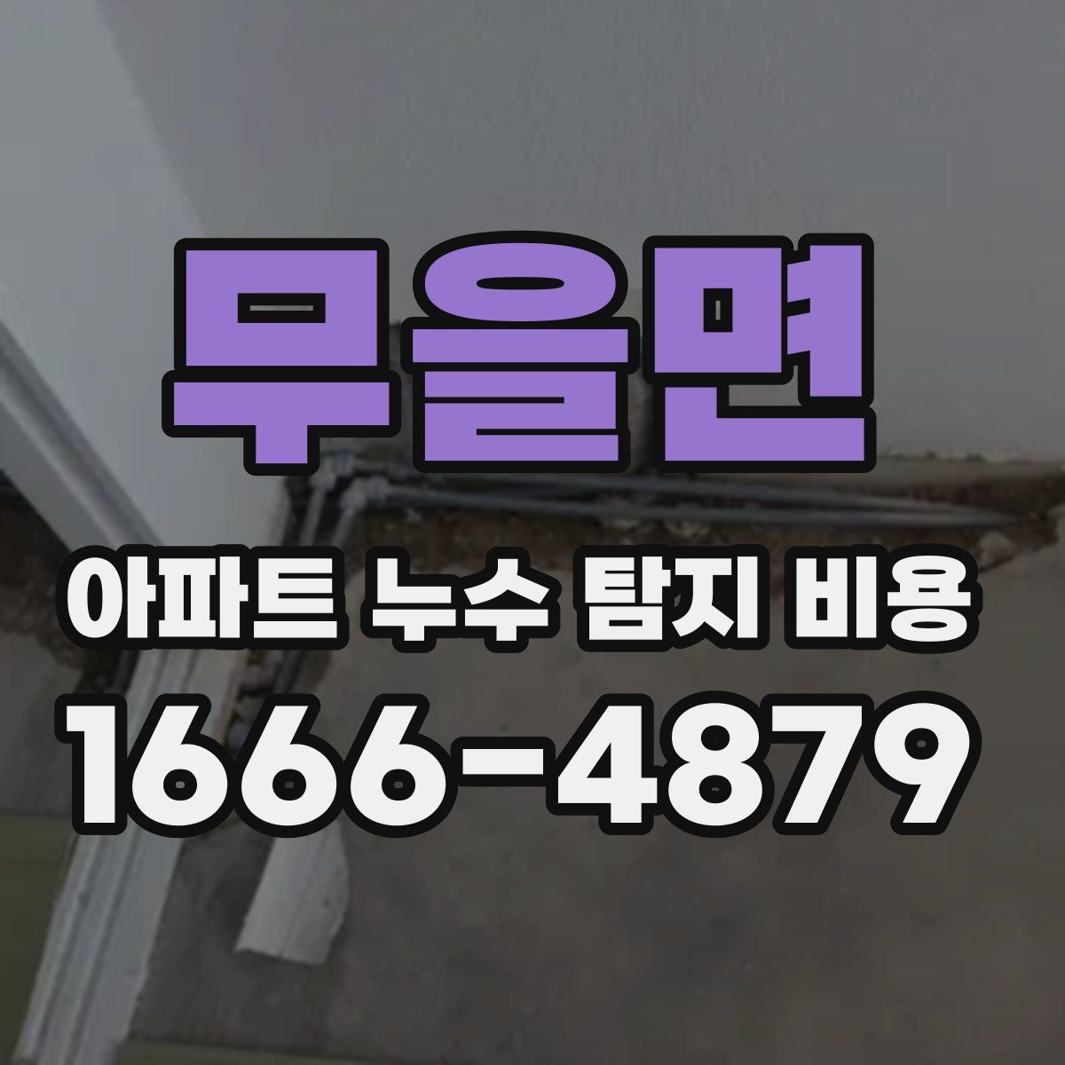 무을면 아파트 누수 탐지 비용