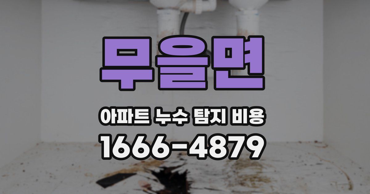 무을면 아파트 누수 탐지 비용