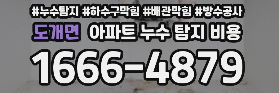 도개면 아파트 누수 탐지 비용