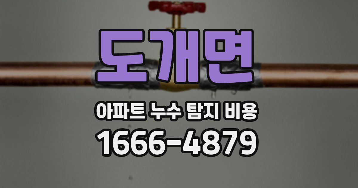 도개면 아파트 누수 탐지 비용