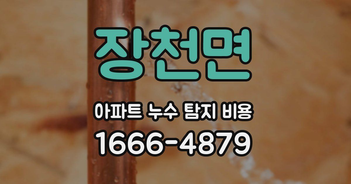 장천면 아파트 누수 탐지 비용