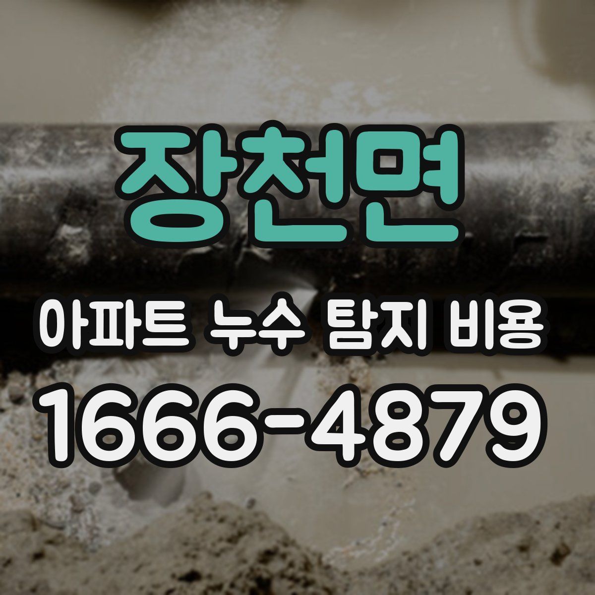 장천면 아파트 누수 탐지 비용