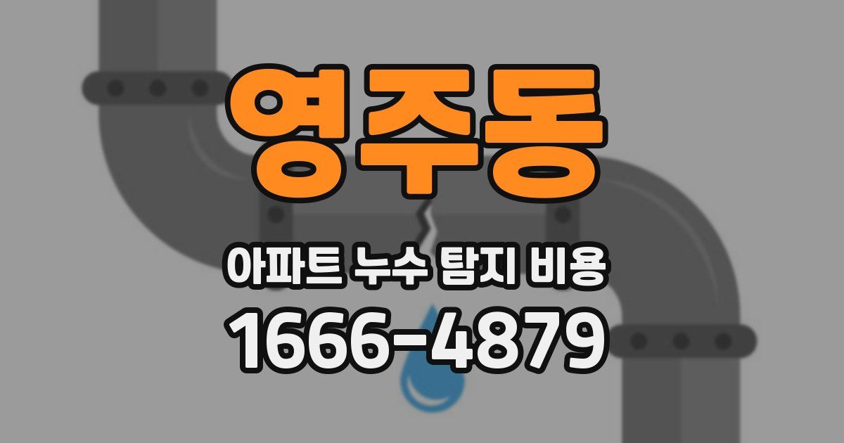 영주동 아파트 누수 탐지 비용