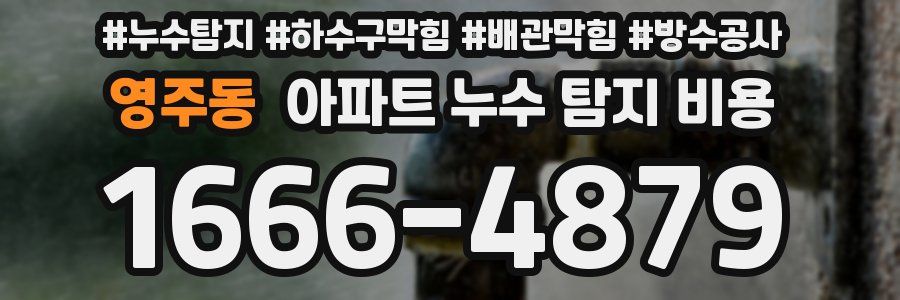 영주동 아파트 누수 탐지 비용