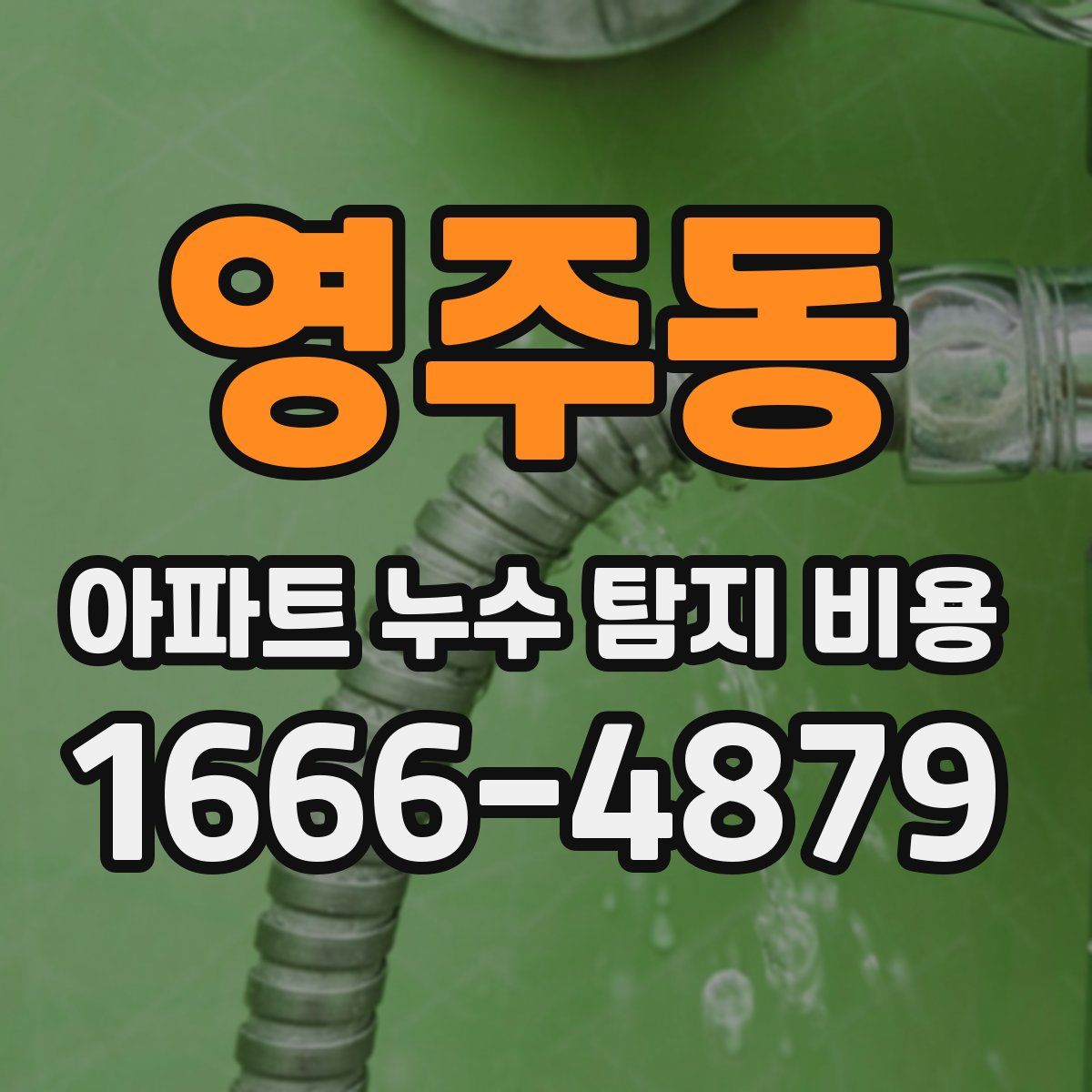 영주동 아파트 누수 탐지 비용