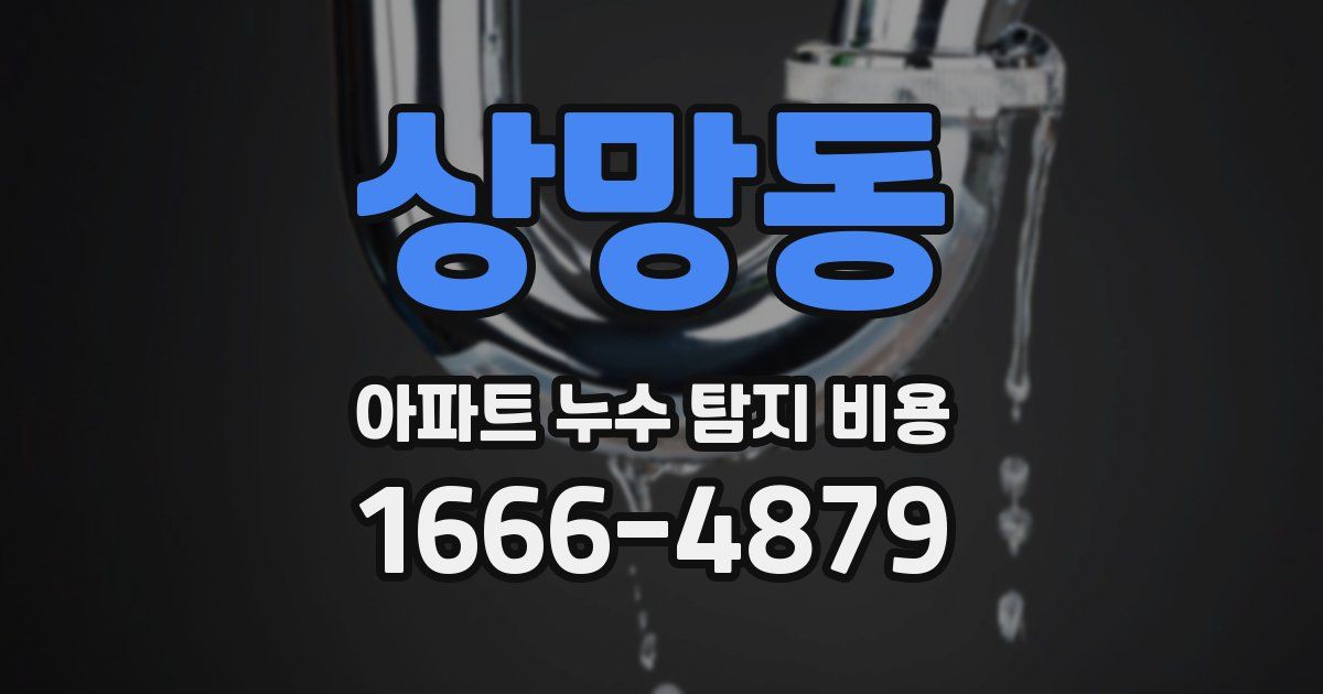 상망동 아파트 누수 탐지 비용