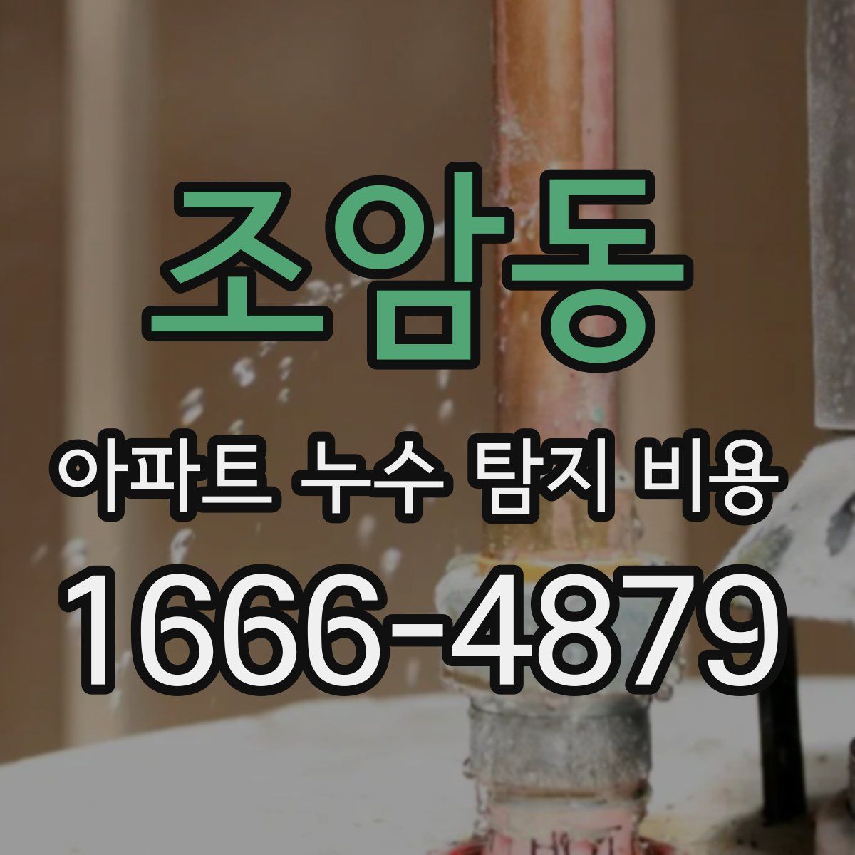 조암동 아파트 누수 탐지 비용